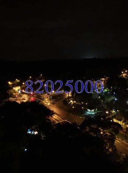Blk 453 Sin Ming Avenue (Bishan), HDB 5 Rooms #152631542